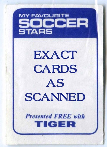 Vintage favourite soccer - favourite,
