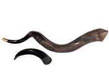 Yemenite Shofar Kudu Horn Set