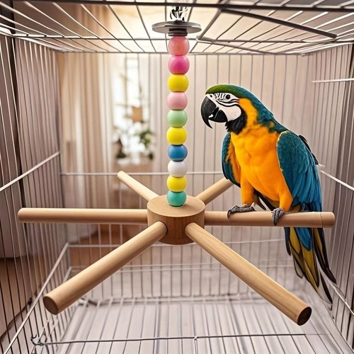 Colorful bird perch toy - colorful,
