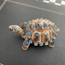 Wade large tortoise trinket