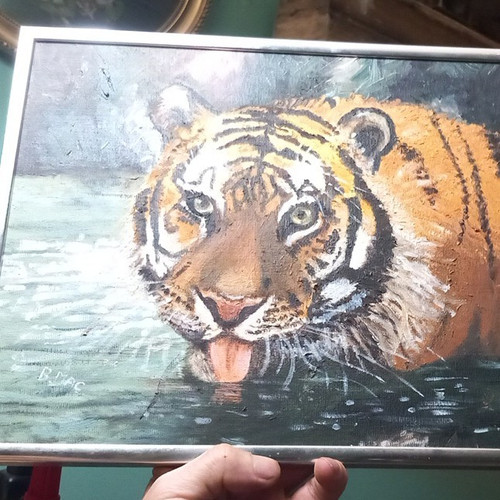 Signed tiger realism - signed,