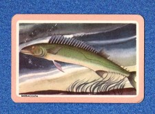 WOOLWORTHS Swap Playing Card
