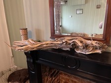 Driftwood From West Bay Dorset Jurassic Coast