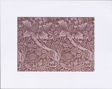 8X10" Matted Print Picture