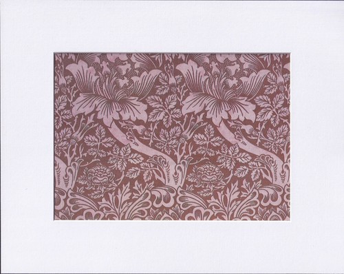 8x10 matted print picture - 8x10",