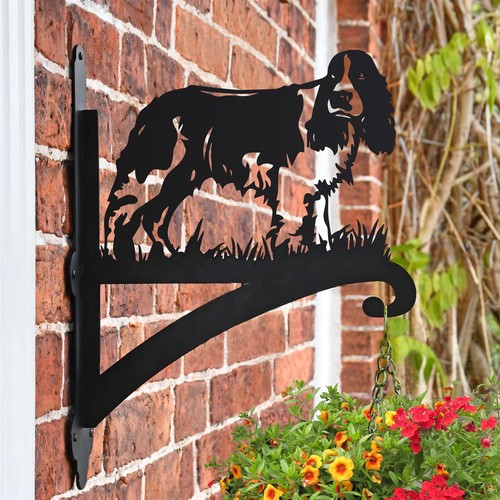 English springer spaniel - english, dog