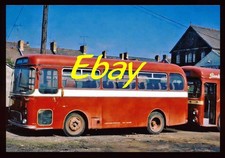 Bus Photo, Albion Nimbus