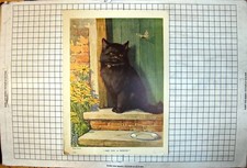 Old Print Black Kitten Albert Caye Persian Cat Family Three Beauties Rug