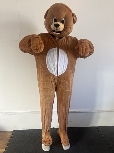 Fancy dress kids - kids, bundle