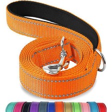 Padded Handle Dog Lead