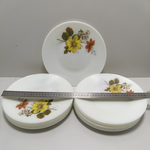 Vintage pyrex autumn glory - pyrex,