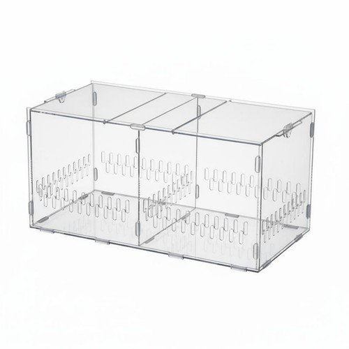 Jumping spider enclosure - jumping,