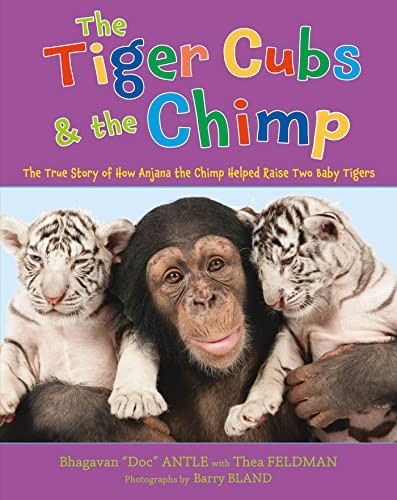 The tiger cubs - the,