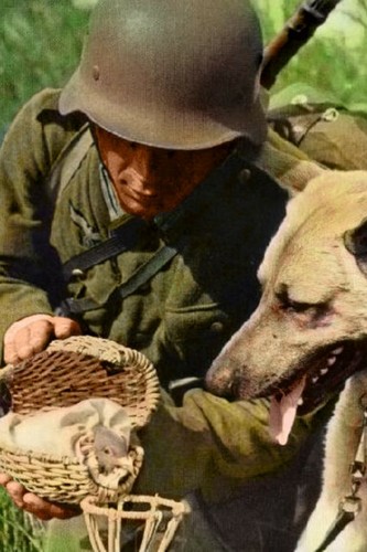 Army soldier his - his, dog