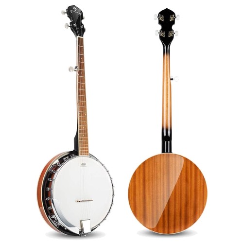 Economical banjo kit - banjo,