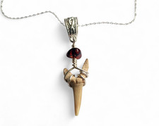 Fossil Sand Tiger Shark Tooth