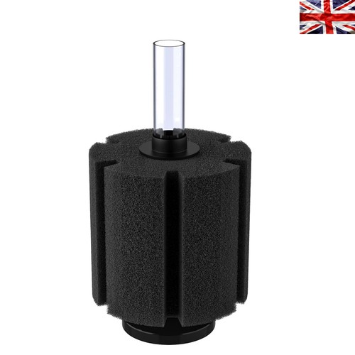 Crystal clear water sponge - ,