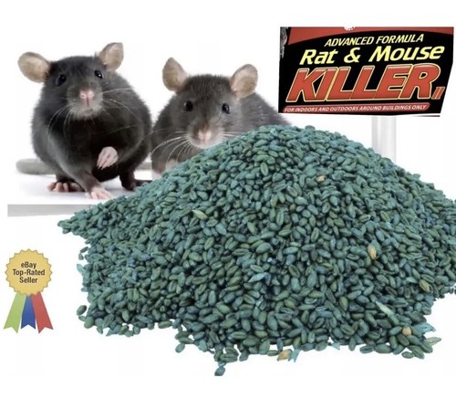 Rat mouse poison bait - mouse,