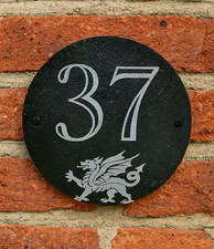 Welsh Dragon Engraved Natural