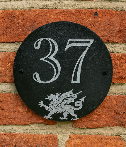 Welsh dragon engraved natural - engraved,