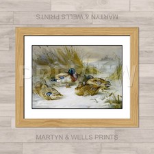 Archibald thorburn print - archibald,