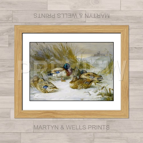 Archibald thorburn print - thorburn,