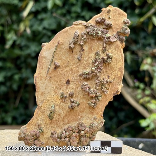 Rare rainbow pyrite supat - rainbow, mine