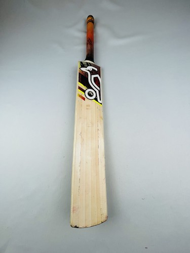 Kookaburra beast english - kookaburra,