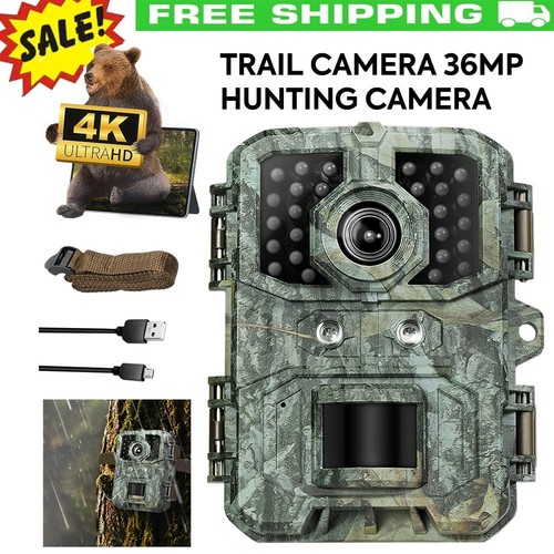 Outdoor scouting camera - scouting, 4k