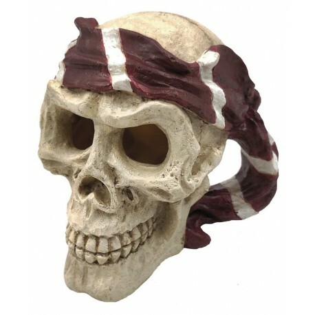 Superfish skull pirate - superfish,