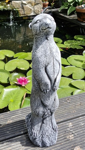 Large meerkat cement - , garden