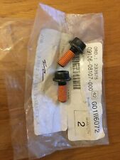 Suzuki Exhaust clamp mount bolt x 2, 8x40 DR250/350 DRZ250 RGV250  VL/VZ800  