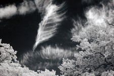 Full Spectrum Modified -