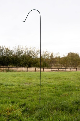 Bird feeder pole stand feeding - bird,