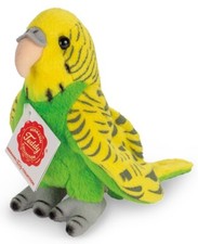 Green Budgerigar / Budgie by