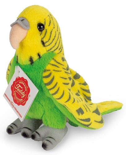 Green budgerigar budgie by - budgie,