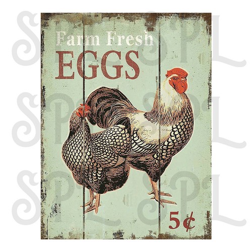 Farm fresh eggs retro - farm,