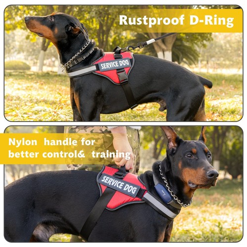 Personalized dog harness - personalized, no