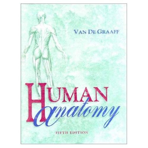 Human anatomy van - human,