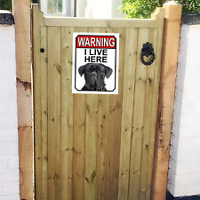 Warning I Live Here Cane Corso