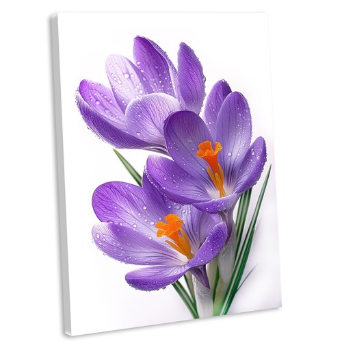 Crocus flowers canvas wall - crocus,