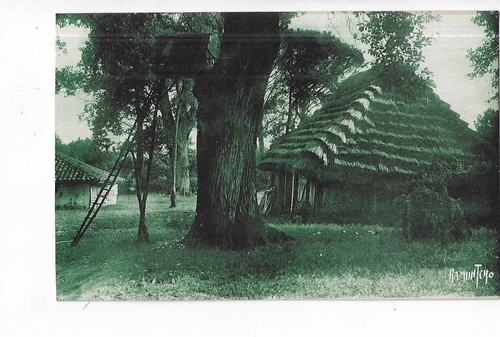 Hut and poultry house from - 40,