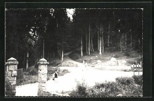Old postcard turini le - old,