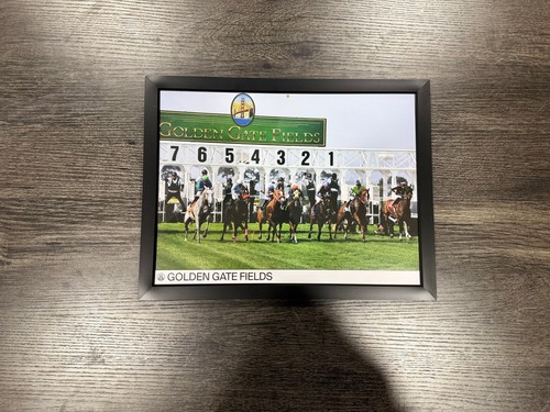 Framed horse racing - framed,