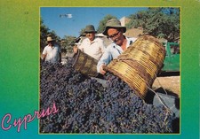 CYPRUS ~ GREETINGS FROM CYPRUS~ USED ~ POSTED