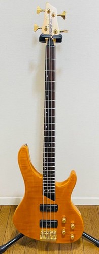 Washburn 1250 kip - washburn,