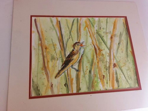 Original wildlife painting