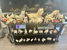 collection of westie dog