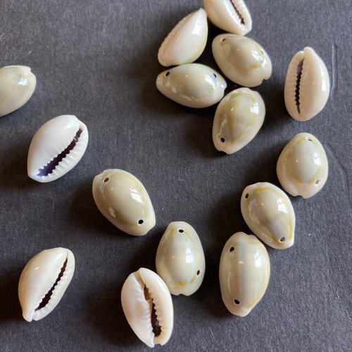African juju beads - 40, cowrie