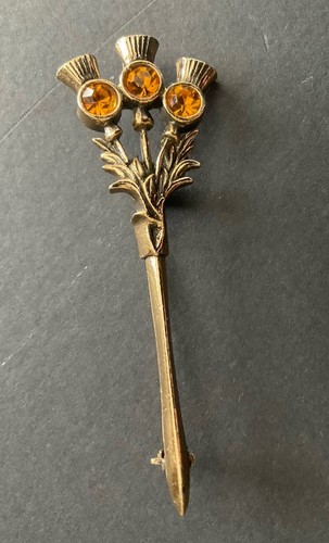 Miracle celtic thistle pin - celtic,